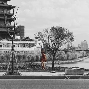 Pornhub免费资源入口
