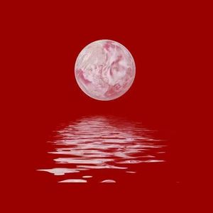 Pornhub免费资源入口
